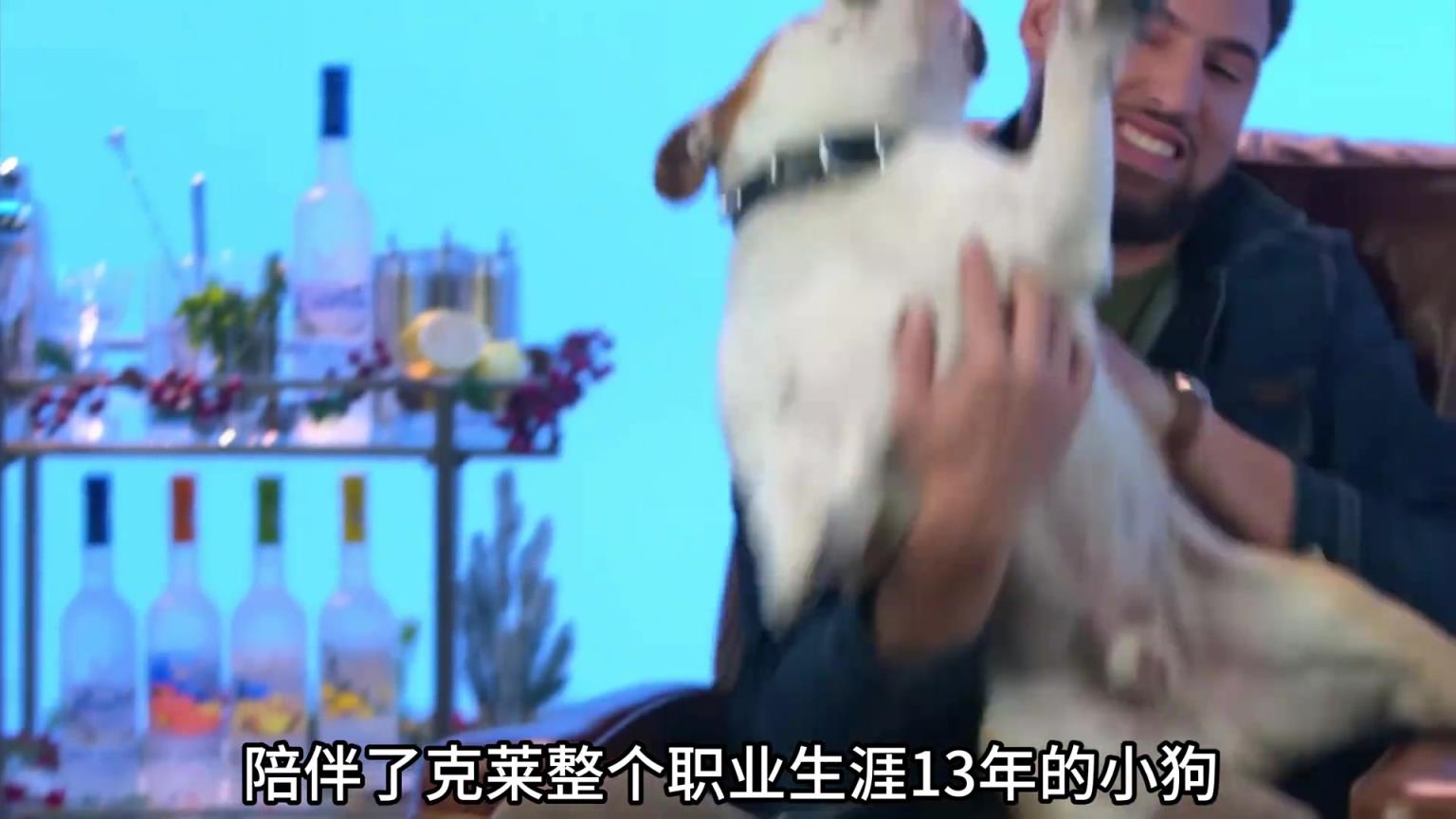 陪伴克萊13年的小狗去世了，不敢相信克萊得多么傷心